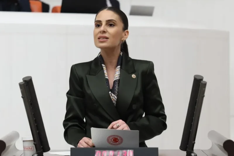 Milletvekili Özcan’dan sokak hayvanları için Bakan Yumaklı’ya önerge
