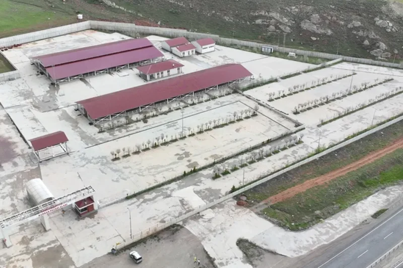 Sivas’ta kurban pazarı Kovalı’ya kuruluyor