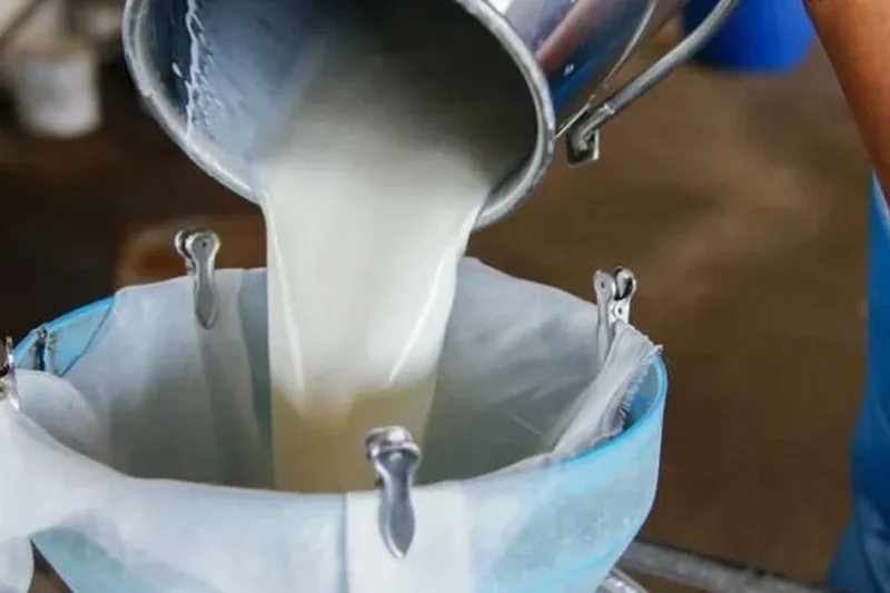 Türkiye’de süt üretimi yükseliyor! Mart’ta 1 milyon 15 bin ton süt toplandı